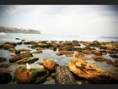/album/galerie-de-photos-voyages/bronte-beach-140x105-1-jpg/